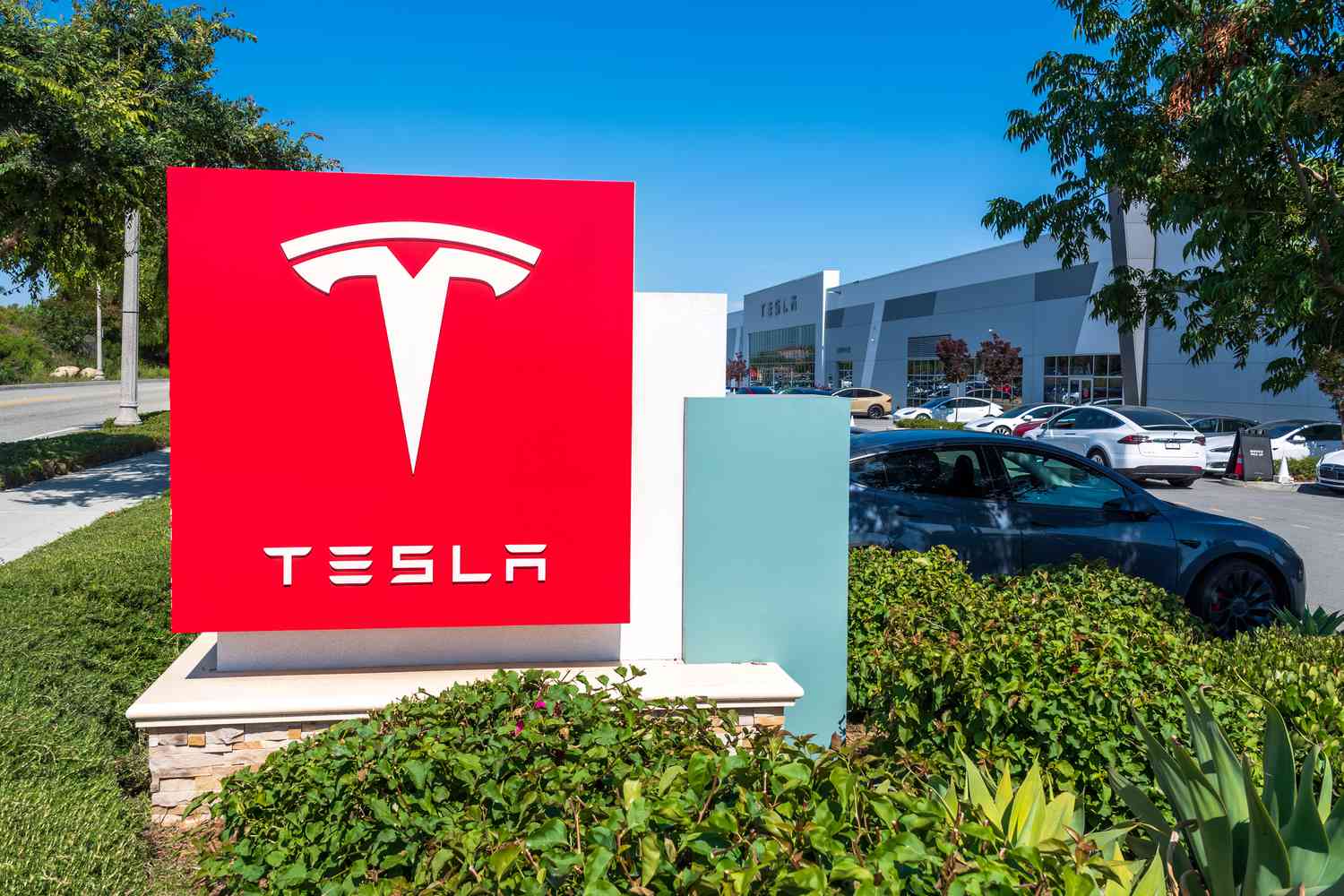 Tesla Stock Price